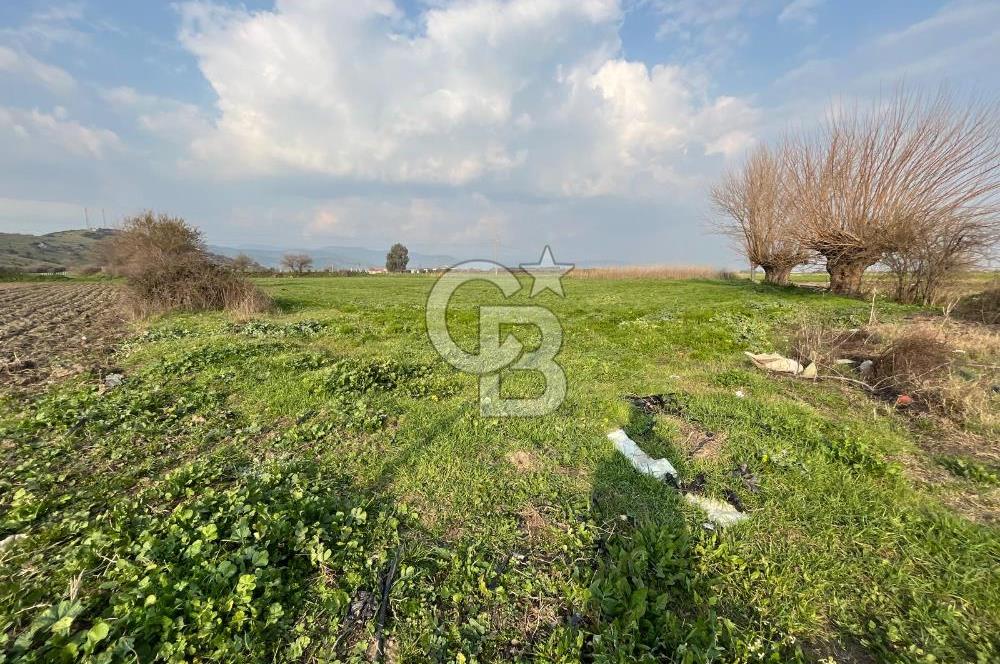 BAYINDIR HAVUZBAŞI NDA SATILIK 8926 M2 TARLA