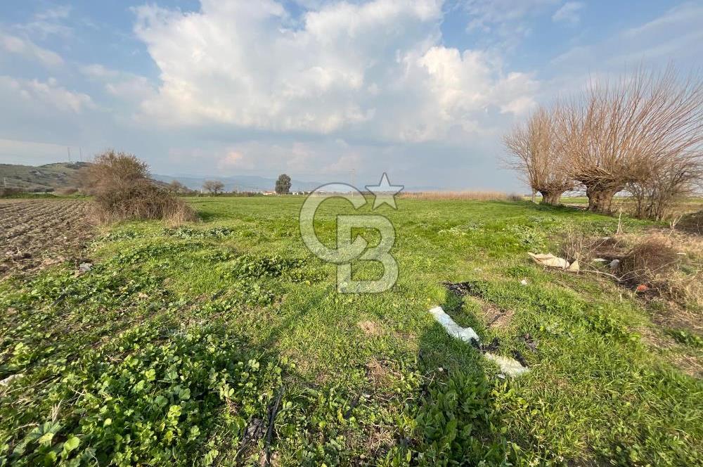 BAYINDIR HAVUZBAŞI NDA SATILIK 8926 M2 TARLA