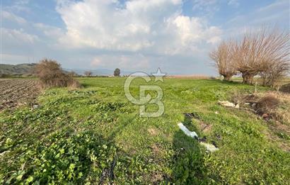 BAYINDIR HAVUZBAŞI NDA SATILIK 8926 M2 TARLA
