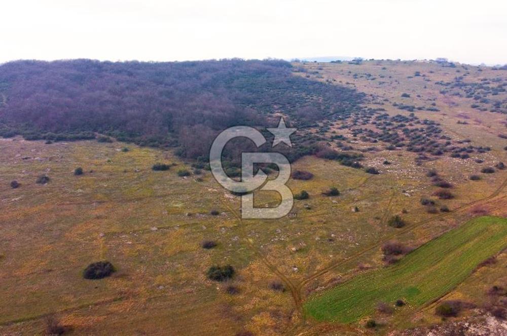 CB AKADEMİ Gıda İhtisas Organize Sanayisine Yakın 2.730 m2 TARLA
