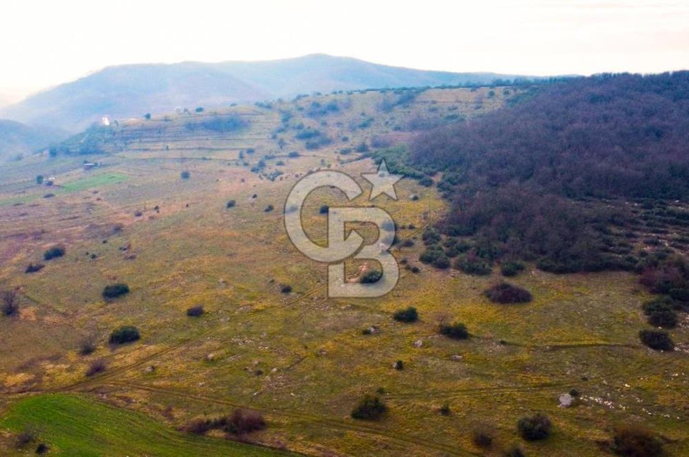 CB AKADEMİ Gıda İhtisas Organize Sanayisine Yakın 2.730 m2 TARLA