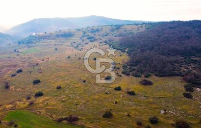 CB AKADEMİ Gıda İhtisas Organize Sanayisine Yakın 2.730 m2 TARLA