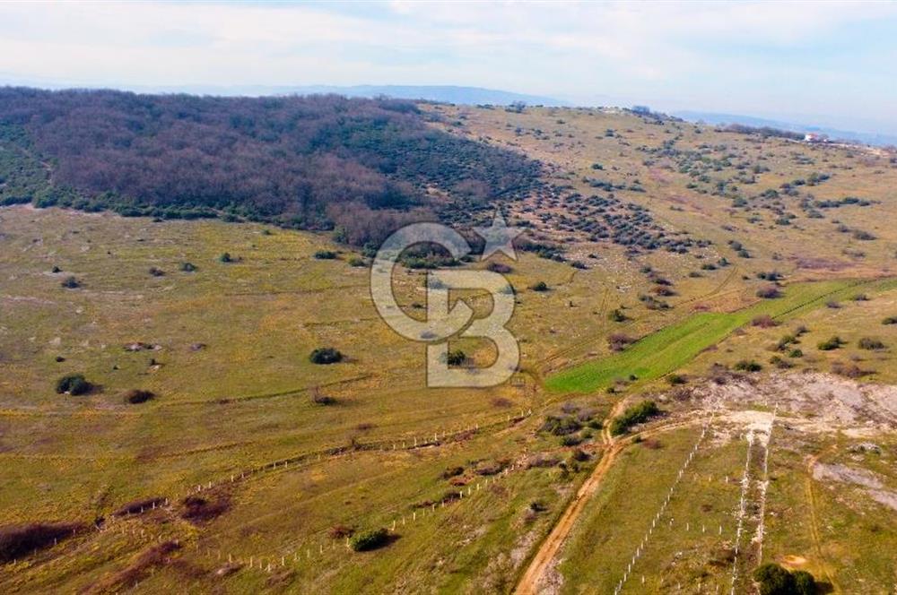 CB AKADEMİ Gıda İhtisas Organize Sanayisine Yakın 2.730 m2 TARLA