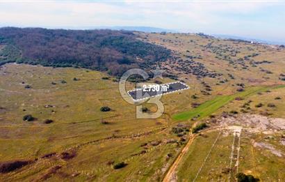 CB AKADEMİ Gıda İhtisas Organize Sanayisine Yakın 2.730 m2 TARLA