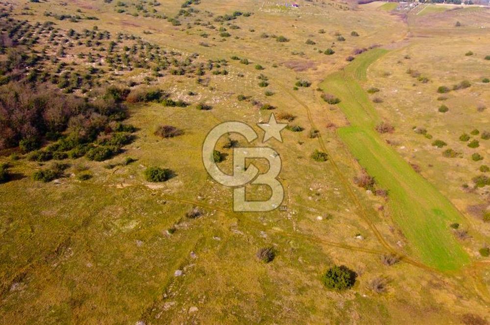 CB AKADEMİ Gıda İhtisas Organize Sanayisine Yakın 2.730 m2 TARLA