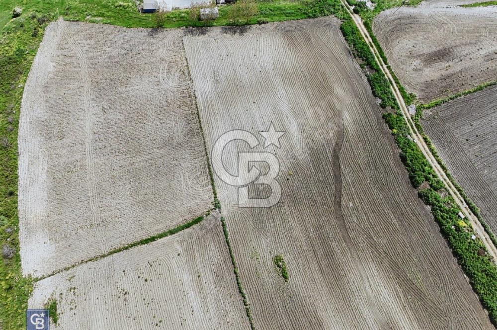 SATILIK PEGASUS BÖLGESİNDE 3130 M² TEK TAPU İMARLI İFRAZLI ARSA