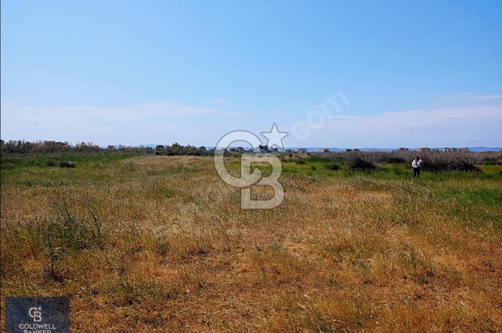 ÇANAKKALE BİGA ÇEŞMEALTI DENİZE 250 M. SATILIK 290 M2 ARSA!