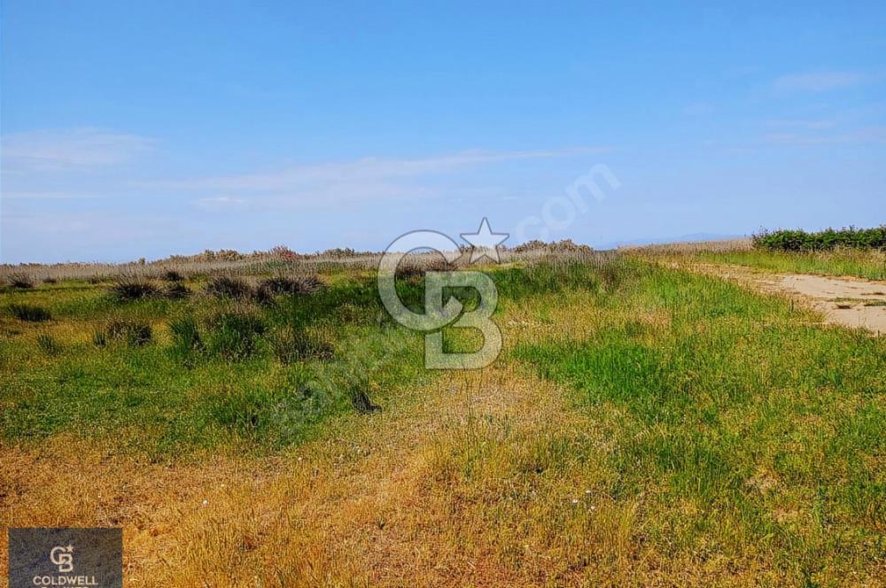 ÇANAKKALE BİGA ÇEŞMEALTI DENİZE 250 M. SATILIK 290 M2 ARSA!
