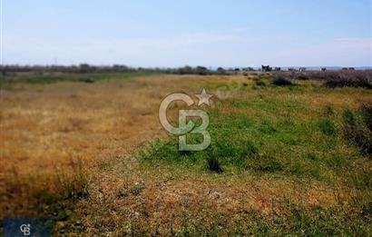 ÇANAKKALE BİGA ÇEŞMEALTI DENİZE 250 M. SATILIK 290 M2 ARSA!