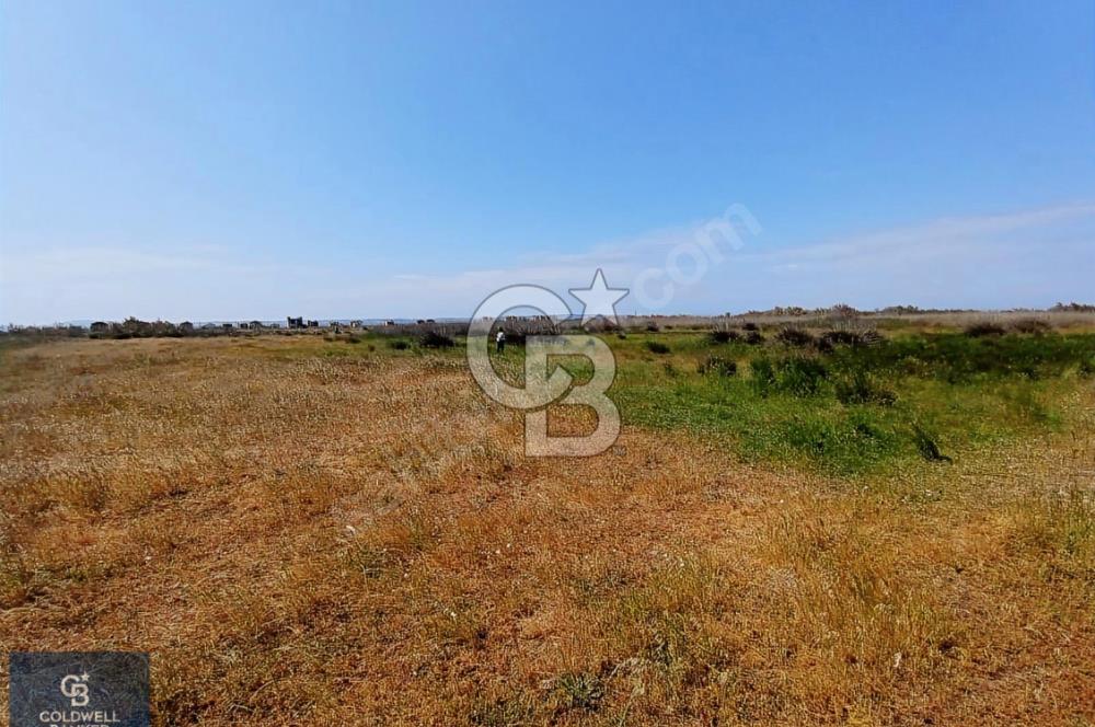 ÇANAKKALE BİGA ÇEŞMEALTI DENİZE 250 M. SATILIK 290 M2 ARSA!