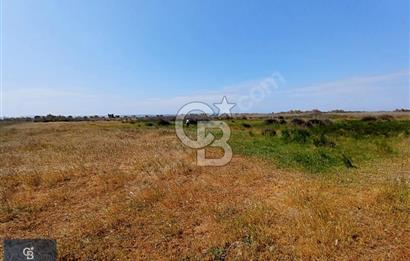 ÇANAKKALE BİGA ÇEŞMEALTI DENİZE 250 M. SATILIK 290 M2 ARSA!