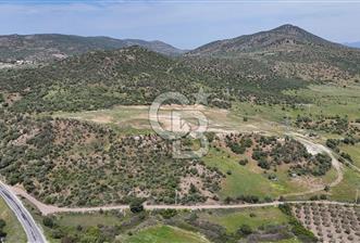 İZMİR DİKİLİ ESENTEPE'DE 220 m2 SATILIK YAŞAM VE YATIRIM BAHÇESİ