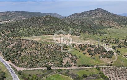 İZMİR DİKİLİ ESENTEPE'DE 220 m2 SATILIK YAŞAM VE YATIRIM BAHÇESİ