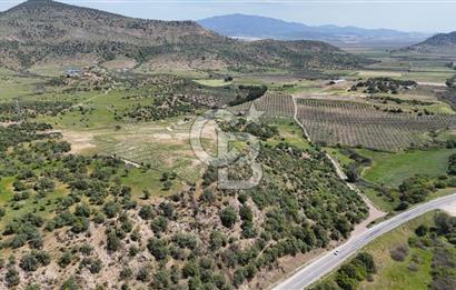 İZMİR DİKİLİ ESENTEPE'DE 220 m2 SATILIK YAŞAM VE YATIRIM BAHÇESİ