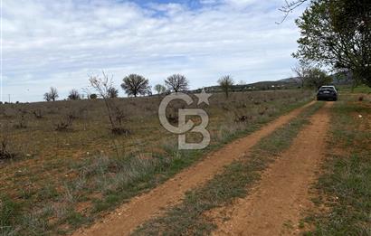 Bekilli Yeşiloba Anayola Bir Cephe 7115 m2 Satılık Üzüm Bağı