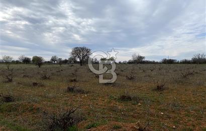 https://www.sahibinden.com/ilan/emlak-arsa-satilik-bekilli-yesiloba-anayola-bir-cephe-7115-m2-satilik-uzum-bagi-1225824856/detay/