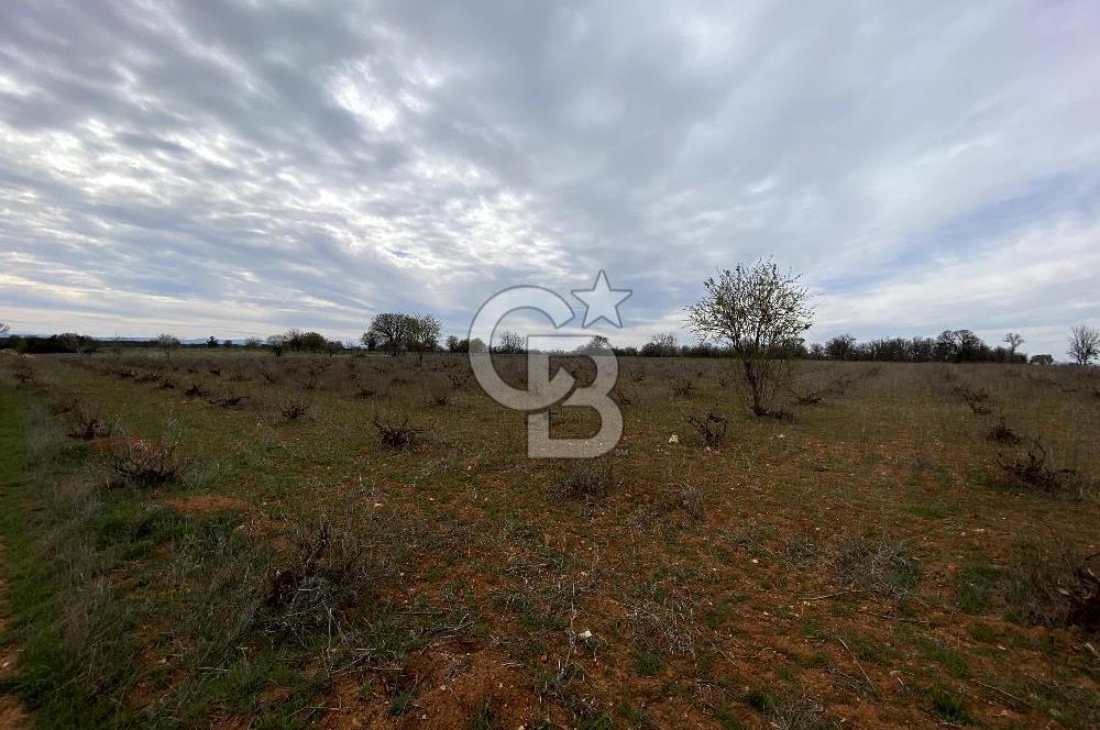 https://www.sahibinden.com/ilan/emlak-arsa-satilik-bekilli-yesiloba-anayola-bir-cephe-4644-m2-satilik-uzum-bagi-1225840745/detay/
