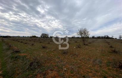 https://www.sahibinden.com/ilan/emlak-arsa-satilik-bekilli-yesiloba-anayola-bir-cephe-4644-m2-satilik-uzum-bagi-1225840745/detay/