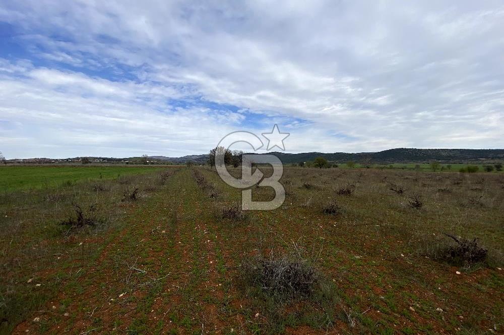 https://www.sahibinden.com/ilan/emlak-arsa-satilik-bekilli-yesiloba-anayola-bir-cephe-7115-m2-satilik-uzum-bagi-1225824856/detay/