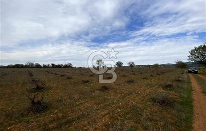 https://www.sahibinden.com/ilan/emlak-arsa-satilik-bekilli-yesiloba-anayola-bir-cephe-4644-m2-satilik-uzum-bagi-1225840745/detay/