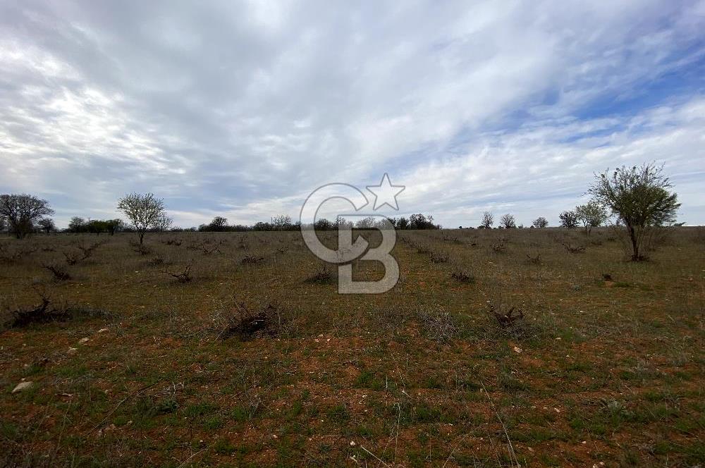 https://www.sahibinden.com/ilan/emlak-arsa-satilik-bekilli-yesiloba-anayola-bir-cephe-4644-m2-satilik-uzum-bagi-1225840745/detay/