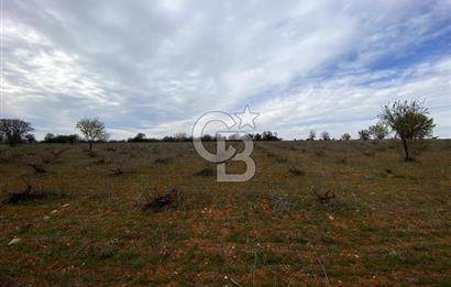 https://www.sahibinden.com/ilan/emlak-arsa-satilik-bekilli-yesiloba-anayola-bir-cephe-4644-m2-satilik-uzum-bagi-1225840745/detay/