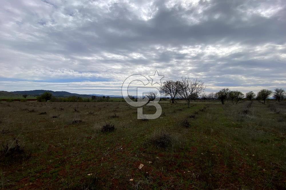 https://www.sahibinden.com/ilan/emlak-arsa-satilik-bekilli-yesiloba-anayola-bir-cephe-7115-m2-satilik-uzum-bagi-1225824856/detay/