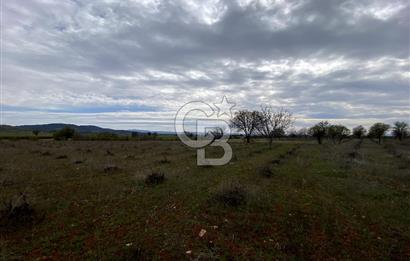 https://www.sahibinden.com/ilan/emlak-arsa-satilik-bekilli-yesiloba-anayola-bir-cephe-7115-m2-satilik-uzum-bagi-1225824856/detay/