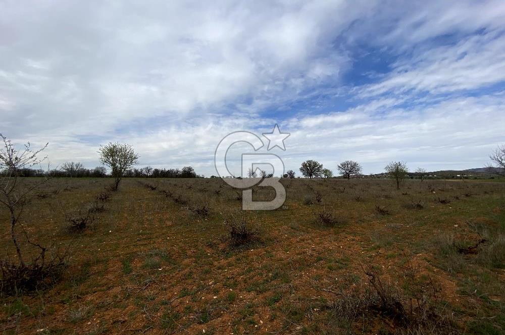 https://www.sahibinden.com/ilan/emlak-arsa-satilik-bekilli-yesiloba-anayola-bir-cephe-4644-m2-satilik-uzum-bagi-1225840745/detay/