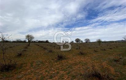 https://www.sahibinden.com/ilan/emlak-arsa-satilik-bekilli-yesiloba-anayola-bir-cephe-4644-m2-satilik-uzum-bagi-1225840745/detay/