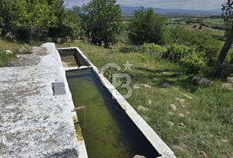 İZMİR BERGAMA MAHMUDİYE'DE (ÇAMTEPE) SATILIK TARLA