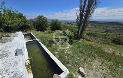 İZMİR BERGAMA MAHMUDİYE'DE (ÇAMTEPE) SATILIK TARLA