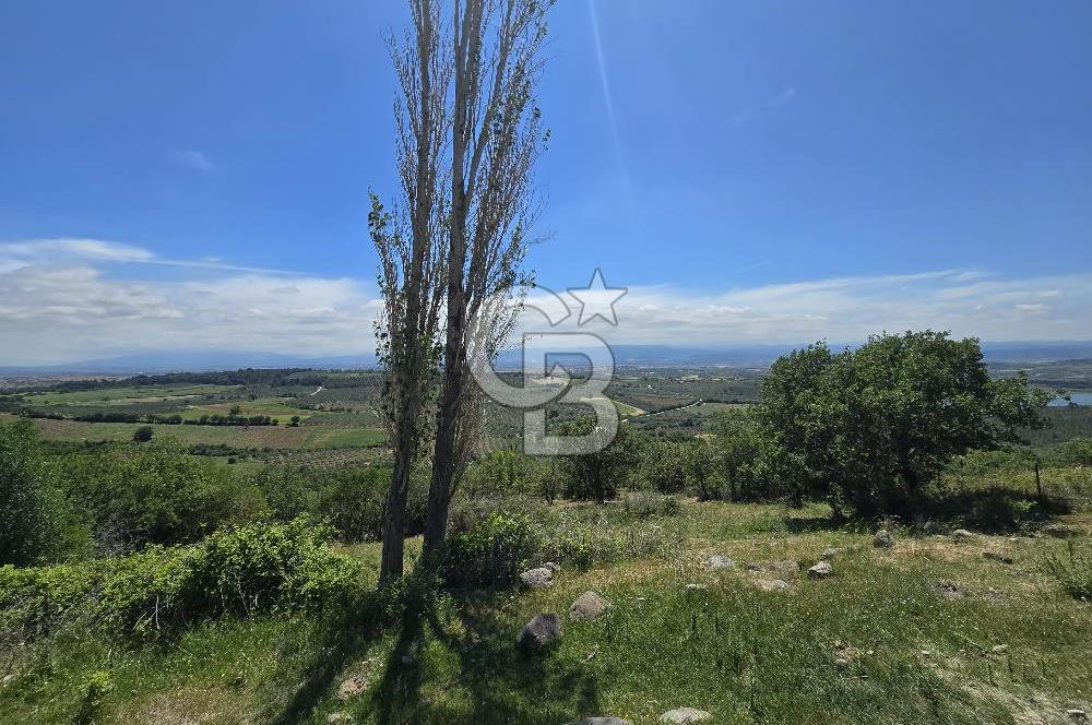 İZMİR BERGAMA MAHMUDİYE'DE (ÇAMTEPE) SATILIK TARLA