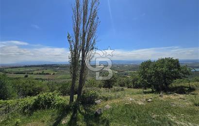 İZMİR BERGAMA MAHMUDİYE'DE (ÇAMTEPE) SATILIK TARLA