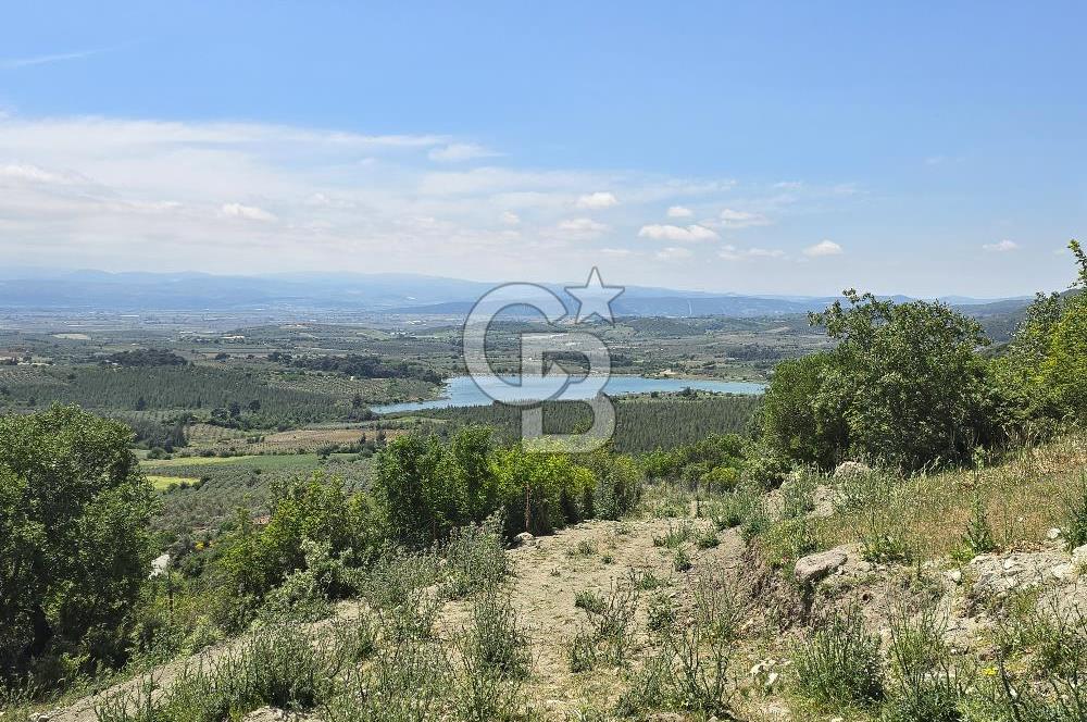 İZMİR BERGAMA MAHMUDİYE'DE (ÇAMTEPE) SATILIK TARLA