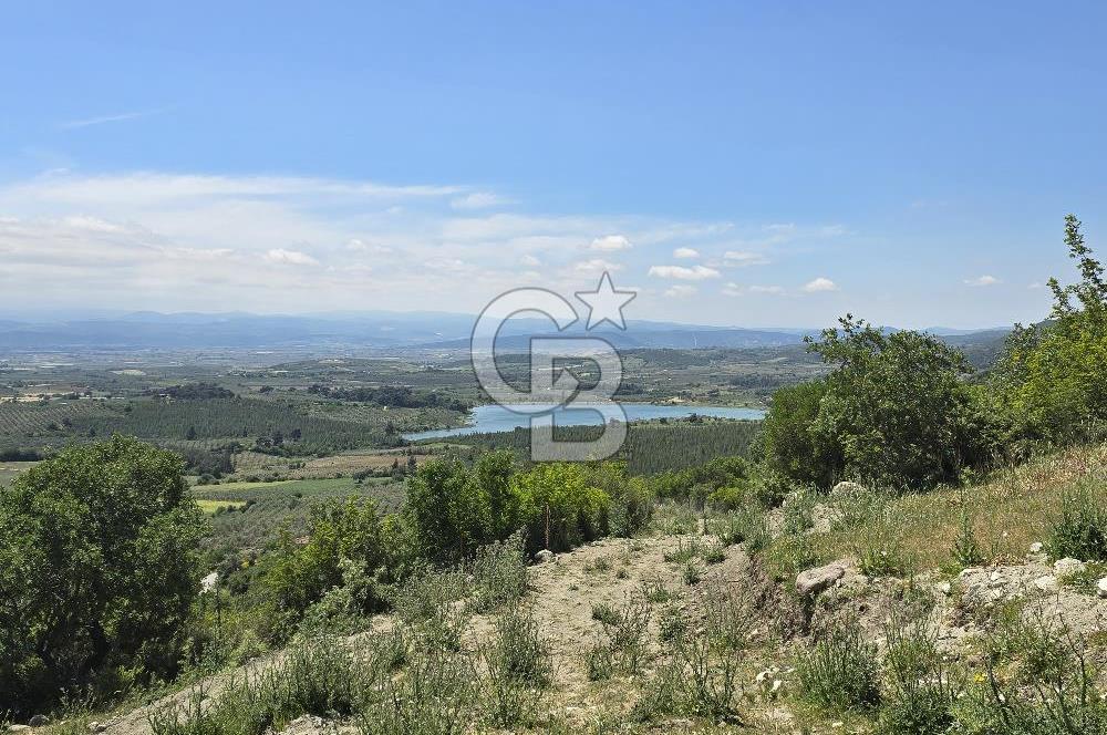 İZMİR BERGAMA MAHMUDİYE'DE (ÇAMTEPE) SATILIK TARLA