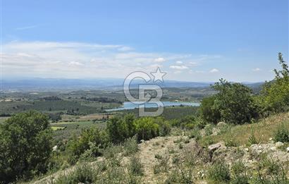 İZMİR BERGAMA MAHMUDİYE'DE (ÇAMTEPE) SATILIK TARLA