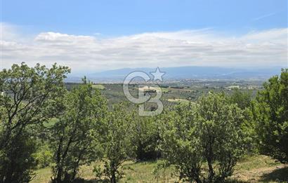 İZMİR BERGAMA MAHMUDİYE'DE (ÇAMTEPE) SATILIK TARLA