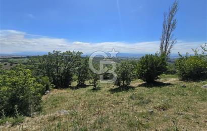 İZMİR BERGAMA MAHMUDİYE'DE (ÇAMTEPE) SATILIK TARLA