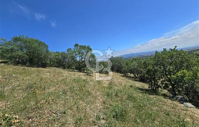 İZMİR BERGAMA MAHMUDİYE'DE (ÇAMTEPE) SATILIK TARLA