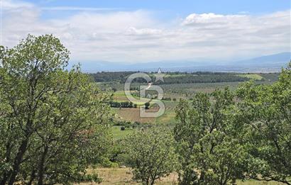 İZMİR BERGAMA MAHMUDİYE'DE (ÇAMTEPE) SATILIK TARLA