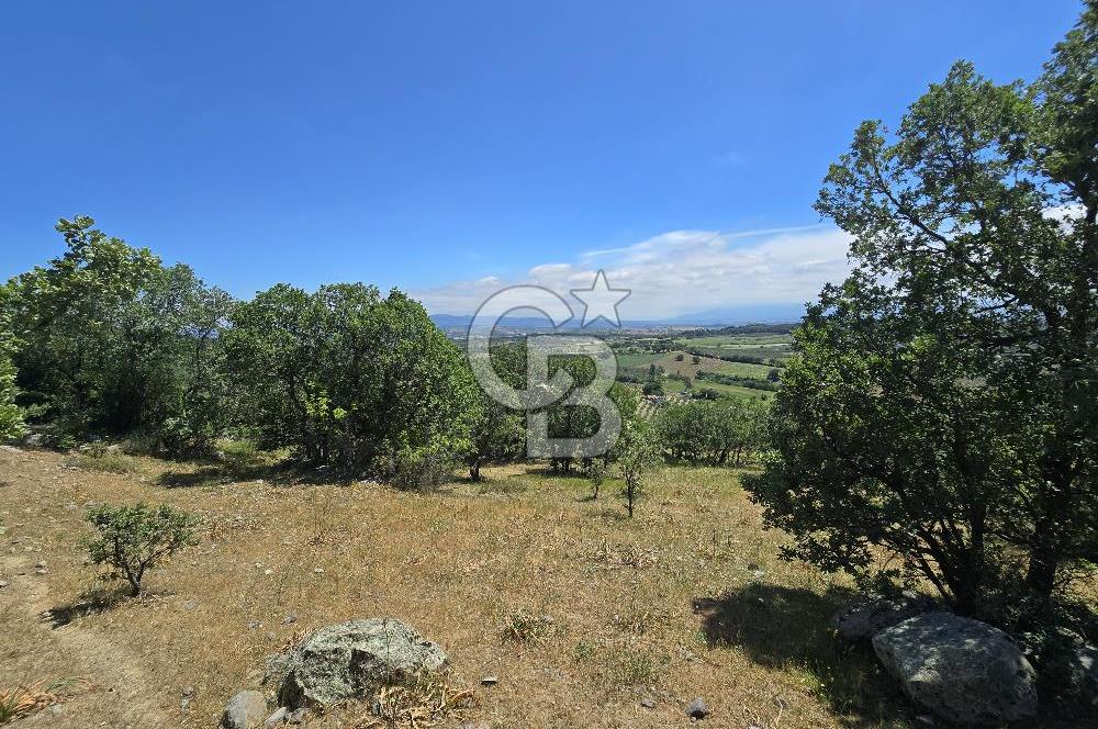 İZMİR BERGAMA MAHMUDİYE'DE (ÇAMTEPE) SATILIK TARLA