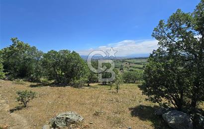 İZMİR BERGAMA MAHMUDİYE'DE (ÇAMTEPE) SATILIK TARLA