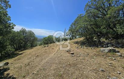 İZMİR BERGAMA MAHMUDİYE'DE (ÇAMTEPE) SATILIK TARLA