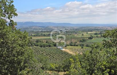 İZMİR BERGAMA MAHMUDİYE'DE (ÇAMTEPE) SATILIK TARLA