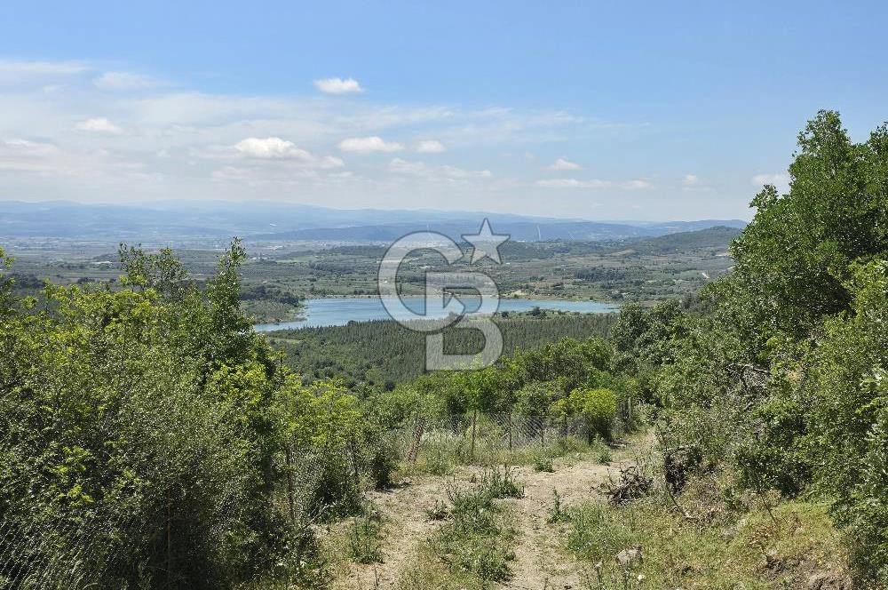 İZMİR BERGAMA MAHMUDİYE'DE (ÇAMTEPE) SATILIK TARLA