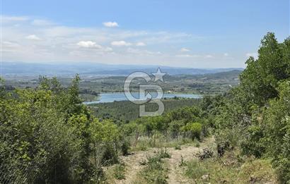 İZMİR BERGAMA MAHMUDİYE'DE (ÇAMTEPE) SATILIK TARLA