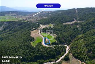 Tavas Pınarlık'ta Satılık Arazi