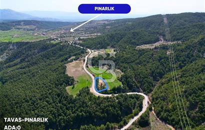 Tavas Pınarlık'ta Satılık Arazi