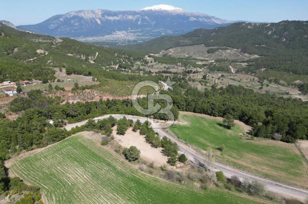 Tavas Pınarlık'ta Satılık Arazi